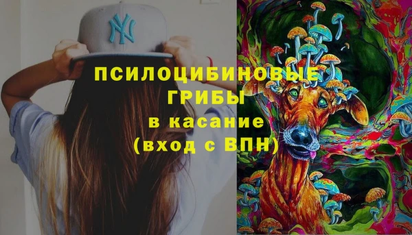 мяу мяу мука Абдулино