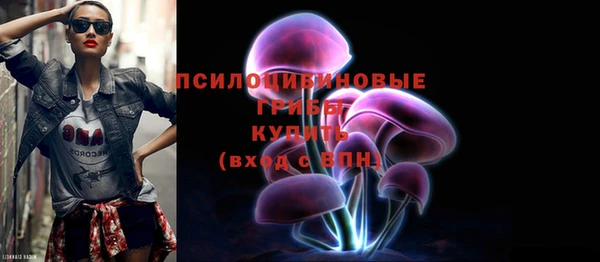 дмт Медвежьегорск