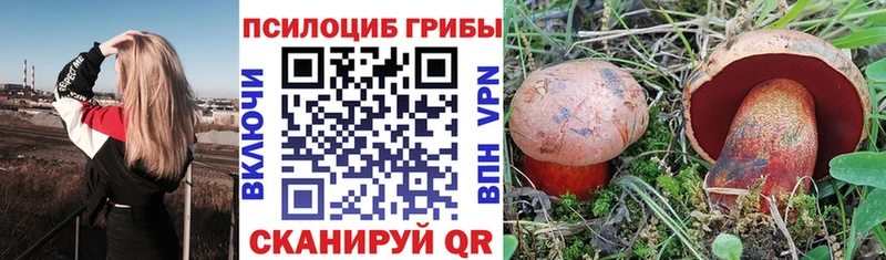 Псилоцибиновые грибы мицелий  Нижний Новгород 